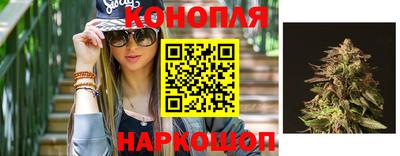ешки Бердск