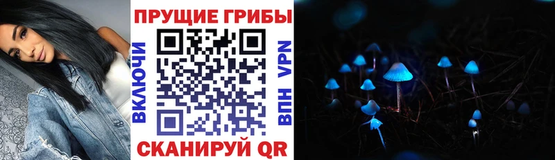 где можно купить   Аргун  Галлюциногенные грибы MAGIC MUSHROOMS 