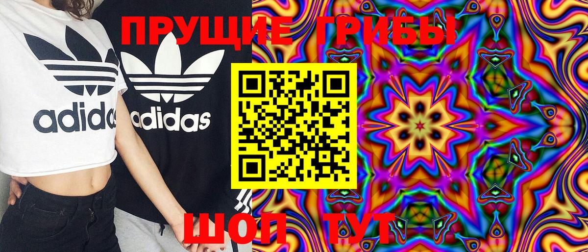 Псилоцибиновые грибы ЛСД Аргун
