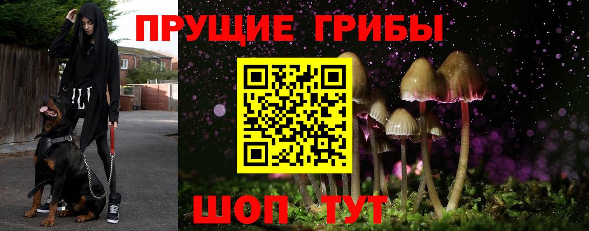 Галлюциногенные грибы Psilocybine cubensis  Вход с VPN  Аргун 